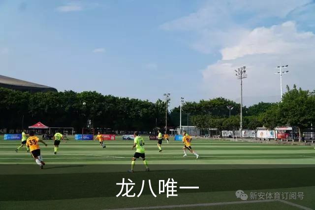 龙八唯一公司简介
